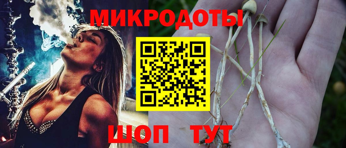 Псилоцибиновые грибы Psilocybe Уфа